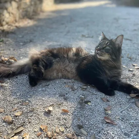 La Canopee Private Ним