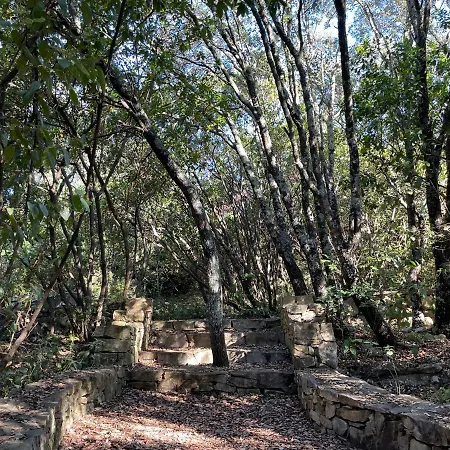La Canopee Private Lodge