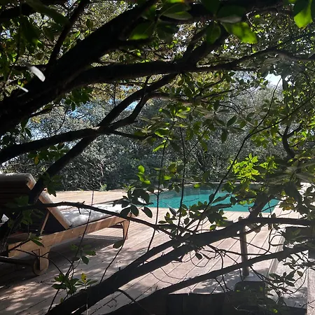 La Canopee Private * Nimes