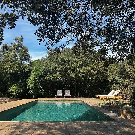 La Canopee Private * Nimes