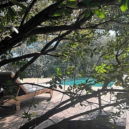 La Canopee Private *